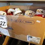 LOTE 227 - 01 LOTE COM DIVERSOS SENSORES E MATERIAIS DE INCÊNDIO. (NO ESTADO) ATENÇÃO! FAZER A VISITAÇÃO ANTES DE ARREMATAR, NÃO SABEMOS SE FUNCIONA. LEILÃO NÃO TEM GARANTIA E NEM DEVOLUÇÃO, SUJEITO A POSSÍVEIS AVARIAS VISÍVEIS/OCULTAS E/OU AUSÊNCIA DE COMPONENTES.