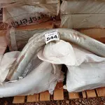 LOTE 544 - 01 LOTE COM CURVAS EM FERRO. (NO ESTADO) ATENÇÃO! FAZER A VISITAÇÃO ANTES DE ARREMATAR, NÃO SABEMOS SE FUNCIONA. LEILÃO NÃO TEM GARANTIA E NEM DEVOLUÇÃO, SUJEITO A POSSÍVEIS AVARIAS VISÍVEIS/OCULTAS E/OU AUSÊNCIA DE COMPONENTES.