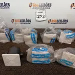 LOTE 222 - 01 LOTE COM DIVERSAS CAIXAS DE PASSAGEM C/TAMPA SUMMER. (NO ESTADO) ATENÇÃO! FAZER A VISITAÇÃO ANTES DE ARREMATAR, NÃO SABEMOS SE FUNCIONA. LEILÃO NÃO TEM GARANTIA E NEM DEVOLUÇÃO, SUJEITO A POSSÍVEIS AVARIAS VISÍVEIS/OCULTAS E/OU AUSÊNCIA DE COMPONENTES.