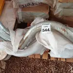 LOTE 544 - 01 LOTE COM CURVAS EM FERRO. (NO ESTADO) ATENÇÃO! FAZER A VISITAÇÃO ANTES DE ARREMATAR, NÃO SABEMOS SE FUNCIONA. LEILÃO NÃO TEM GARANTIA E NEM DEVOLUÇÃO, SUJEITO A POSSÍVEIS AVARIAS VISÍVEIS/OCULTAS E/OU AUSÊNCIA DE COMPONENTES.