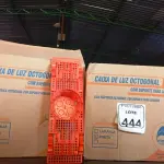 LOTE 444 - 02 CAIXAS DE LUZ OCTOGONAL. (NO ESTADO) ATENÇÃO! FAZER A VISITAÇÃO ANTES DE ARREMATAR, NÃO SABEMOS SE FUNCIONA. LEILÃO NÃO TEM GARANTIA E NEM DEVOLUÇÃO, SUJEITO A POSSÍVEIS AVARIAS VISÍVEIS/OCULTAS E/OU AUSÊNCIA DE COMPONENTES.