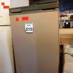 LOTE 515 - 01 GELADEIRA PROSDÓCIMO SEM MOTOR. (NO ESTADO) ATENÇÃO! FAZER A VISITAÇÃO ANTES DE ARREMATAR, NÃO SABEMOS SE FUNCIONA. LEILÃO NÃO TEM GARANTIA E NEM DEVOLUÇÃO, SUJEITO A POSSÍVEIS AVARIAS VISÍVEIS/OCULTAS E/OU AUSÊNCIA DE COMPONENTES.