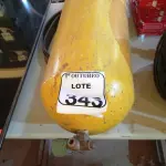 LOTE 343 - 01 CILINDRO GNV VEICULAR. (NO ESTADO) ATENÇÃO! FAZER A VISITAÇÃO ANTES DE ARREMATAR, NÃO SABEMOS SE FUNCIONA. LEILÃO NÃO TEM GARANTIA E NEM DEVOLUÇÃO, SUJEITO A POSSÍVEIS AVARIAS VISÍVEIS/OCULTAS E/OU AUSÊNCIA DE COMPONENTES.
