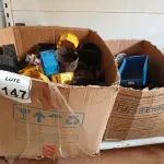 LOTE 147 - 01 LOTE COM DIVERSAS CAIXAS DE LUZ DE FERRO E PLÁSTICO. (NO ESTADO) ATENÇÃO! FAZER A VISITAÇÃO ANTES DE ARREMATAR, NÃO SABEMOS SE FUNCIONA. LEILÃO NÃO TEM GARANTIA E NEM DEVOLUÇÃO, SUJEITO A POSSÍVEIS AVARIAS VISÍVEIS/OCULTAS E/OU AUSÊNCIA DE COMPONENTES.