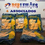 LOTE 012 - 05 MACACÕES DE SEGURANÇAS TAMANHO EXTRA G. (NO ESTADO) ATENÇÃO! FAZER A VISITAÇÃO ANTES DE ARREMATAR, NÃO SABEMOS SE FUNCIONA. LEILÃO NÃO TEM GARANTIA E NEM DEVOLUÇÃO, SUJEITO A POSSÍVEIS AVARIAS VISÍVEIS/OCULTAS E/OU AUSÊNCIA DE COMPONENTES.
