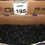 LOTE 195 - 01 LOTE COM GRANDE QUANTIDADE DE BUCHAS, PARAFUSOS E MATERIAIS DIVERSOS. (NO ESTADO) ATENÇÃO! FAZER A VISITAÇÃO ANTES DE ARREMATAR, NÃO SABEMOS SE FUNCIONA. LEILÃO NÃO TEM GARANTIA E NEM DEVOLUÇÃO, SUJEITO A POSSÍVEIS AVARIAS VISÍVEIS/OCULTAS E/OU AUSÊNCIA DE COMPONENTES.