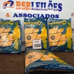 LOTE 192 - 05 MACACÕES DE SEGURANÇAS TAMANHO EXTRA G. (NO ESTADO) ATENÇÃO! FAZER A VISITAÇÃO ANTES DE ARREMATAR, NÃO SABEMOS SE FUNCIONA. LEILÃO NÃO TEM GARANTIA E NEM DEVOLUÇÃO, SUJEITO A POSSÍVEIS AVARIAS VISÍVEIS/OCULTAS E/OU AUSÊNCIA DE COMPONENTES.