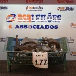 LOTE 177 - 01 LOTE COM DIVERSAS BOCAS DE FOGÃO. (NO ESTADO) ATENÇÃO! FAZER A VISITAÇÃO ANTES DE ARREMATAR, NÃO SABEMOS SE FUNCIONA. LEILÃO NÃO TEM GARANTIA E NEM DEVOLUÇÃO, SUJEITO A POSSÍVEIS AVARIAS VISÍVEIS/OCULTAS E/OU AUSÊNCIA DE COMPONENTES.