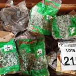 LOTE 215 - 01 LOTE COM GRANDE QUANTIDADE DE ESPAÇADORES PARA ASSENTAMENTO DE PISO E MATERIAIS DIVERSOS. (NO ESTADO) ATENÇÃO! FAZER A VISITAÇÃO ANTES DE ARREMATAR, NÃO SABEMOS SE FUNCIONA. LEILÃO NÃO TEM GARANTIA E NEM DEVOLUÇÃO, SUJEITO A POSSÍVEIS AVARIAS VISÍVEIS/OCULTAS E/OU AUSÊNCIA DE COMPONENTES.