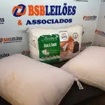 LOTE 365 - 03 TRAVESSEIROS. (NO ESTADO) ATENÇÃO! FAZER A VISITAÇÃO ANTES DE ARREMATAR, NÃO SABEMOS SE FUNCIONA. LEILÃO NÃO TEM GARANTIA E NEM DEVOLUÇÃO, SUJEITO A POSSÍVEIS AVARIAS VISÍVEIS/OCULTAS E/OU AUSÊNCIA DE COMPONENTES.