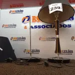 LOTE 239 - 02 ABAJURES C/AVARIAS. (NO ESTADO) ATENÇÃO! FAZER A VISITAÇÃO ANTES DE ARREMATAR, NÃO SABEMOS SE FUNCIONA. LEILÃO NÃO TEM GARANTIA E NEM DEVOLUÇÃO, SUJEITO A POSSÍVEIS AVARIAS VISÍVEIS/OCULTAS E/OU AUSÊNCIA DE COMPONENTES.