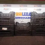 LOTE 034 - 10 CESTAS ORGANIZADORAS NA COR PRETA. (NO ESTADO) ATENÇÃO! FAZER A VISITAÇÃO ANTES DE ARREMATAR, NÃO SABEMOS SE FUNCIONA. LEILÃO NÃO TEM GARANTIA E NEM DEVOLUÇÃO, SUJEITO A POSSÍVEIS AVARIAS VISÍVEIS/OCULTAS E/OU AUSÊNCIA DE COMPONENTES.