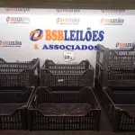 LOTE 089 - 10 CESTAS ORGANIZADORAS NA COR PRETA. (NO ESTADO) ATENÇÃO! FAZER A VISITAÇÃO ANTES DE ARREMATAR, NÃO SABEMOS SE FUNCIONA. LEILÃO NÃO TEM GARANTIA E NEM DEVOLUÇÃO, SUJEITO A POSSÍVEIS AVARIAS VISÍVEIS/OCULTAS E/OU AUSÊNCIA DE COMPONENTES.