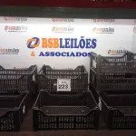 LOTE 223 - 10 CESTAS ORGANIZADORAS NA COR PRETA. (NO ESTADO) ATENÇÃO! FAZER A VISITAÇÃO ANTES DE ARREMATAR, NÃO SABEMOS SE FUNCIONA. LEILÃO NÃO TEM GARANTIA E NEM DEVOLUÇÃO, SUJEITO A POSSÍVEIS AVARIAS VISÍVEIS/OCULTAS E/OU AUSÊNCIA DE COMPONENTES.