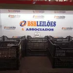 LOTE 034 - 10 CESTAS ORGANIZADORAS NA COR PRETA. (NO ESTADO) ATENÇÃO! FAZER A VISITAÇÃO ANTES DE ARREMATAR, NÃO SABEMOS SE FUNCIONA. LEILÃO NÃO TEM GARANTIA E NEM DEVOLUÇÃO, SUJEITO A POSSÍVEIS AVARIAS VISÍVEIS/OCULTAS E/OU AUSÊNCIA DE COMPONENTES.