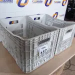LOTE 157 - 02 CAIXAS PARA TRANSPORTE. (NO ESTADO) ATENÇÃO! FAZER A VISITAÇÃO ANTES DE ARREMATAR, NÃO SABEMOS SE FUNCIONA. LEILÃO NÃO TEM GARANTIA E NEM DEVOLUÇÃO, SUJEITO A POSSÍVEIS AVARIAS VISÍVEIS/OCULTAS E/OU AUSÊNCIA DE COMPONENTES.