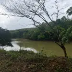 LOTE 001 - 01 CESSÃO DE DIREITO DE 01 CASA COM LOTE DE 1.200,00 M², NA RUA 04 LOTE Nº 16/17. SITUADO NO CONDOMÍNIO DE PESCA HORIZONTE DOURADO - LUZIÂNIA - GO.  (DOCUMENTOS EM ANEXO) (AGENDAR VISITAÇÃO 61-99445-2031).