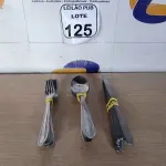 LOTE 125 - 07 GARFOS ,10 COLHERES E 10 FACAS DE MESA. (NO ESTADO) ATENÇÃO! FAZER A VISITAÇÃO ANTES DE ARREMATAR, NÃO SABEMOS SE FUNCIONA. LEILÃO NÃO TEM GARANTIA E NEM DEVOLUÇÃO, SUJEITO A POSSÍVEIS AVARIAS VISÍVEIS/OCULTAS E/OU AUSÊNCIA DE COMPONENTES.