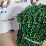 LOTE 093 - 01 LOTE C/PLANTAS ARTIFICIAIS. (NO ESTADO) ATENÇÃO! FAZER A VISITAÇÃO ANTES DE ARREMATAR, NÃO SABEMOS SE FUNCIONA. LEILÃO NÃO TEM GARANTIA E NEM DEVOLUÇÃO, SUJEITO A POSSÍVEIS AVARIAS VISÍVEIS/OCULTAS E/OU AUSÊNCIA DE COMPONENTES.
