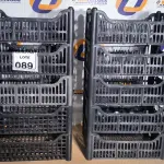 LOTE 089 - 10 CESTOS ORGANIZADORES EM PLÁSTICO NA COR PRETA. (NO ESTADO) ATENÇÃO! FAZER A VISITAÇÃO ANTES DE ARREMATAR, NÃO SABEMOS SE FUNCIONA. LEILÃO NÃO TEM GARANTIA E NEM DEVOLUÇÃO, SUJEITO A POSSÍVEIS AVARIAS VISÍVEIS/OCULTAS E/OU AUSÊNCIA DE COMPONENTES.