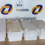 LOTE 012 - 04 CAIXAS ORGANIZADORAS PEQUENAS EM PLÁSTICO. (NO ESTADO) ATENÇÃO! FAZER A VISITAÇÃO ANTES DE ARREMATAR, NÃO SABEMOS SE FUNCIONA. LEILÃO NÃO TEM GARANTIA E NEM DEVOLUÇÃO, SUJEITO A POSSÍVEIS AVARIAS VISÍVEIS/OCULTAS E/OU AUSÊNCIA DE COMPONENTES.