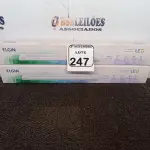 LOTE 247 - 02 LUMINÁRIAS DUOLED 18W MARCA ELGIN(NOVO). (NO ESTADO) ATENÇÃO! FAZER A VISITAÇÃO ANTES DE ARREMATAR, NÃO SABEMOS SE FUNCIONA. LEILÃO NÃO TEM GARANTIA E NEM DEVOLUÇÃO, SUJEITO A POSSÍVEIS AVARIAS VISÍVEIS/OCULTAS E/OU AUSÊNCIA DE COMPONENTES.