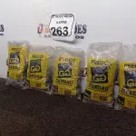 LOTE 263 - 5KG DE PREGOS MARCA GERDAU(NOVO). (NO ESTADO) ATENÇÃO! FAZER A VISITAÇÃO ANTES DE ARREMATAR, NÃO SABEMOS SE FUNCIONA. LEILÃO NÃO TEM GARANTIA E NEM DEVOLUÇÃO, SUJEITO A POSSÍVEIS AVARIAS VISÍVEIS/OCULTAS E/OU AUSÊNCIA DE COMPONENTES.
