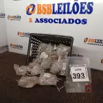 LOTE 393 - 01 LOTE C/GRANDE QUANTIDADE DE REBITE DE REPUXO DE ALUMÍNIO(NOVO). (NO ESTADO) ATENÇÃO! FAZER A VISITAÇÃO ANTES DE ARREMATAR, NÃO SABEMOS SE FUNCIONA. LEILÃO NÃO TEM GARANTIA E NEM DEVOLUÇÃO, SUJEITO A POSSÍVEIS AVARIAS VISÍVEIS/OCULTAS E/OU AUSÊNCIA DE COMPONENTES.