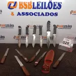 LOTE 028 - 01 LOTE C/APROXIMADAMENTE 12 FACAS MARCAS E MODELOS DIVERSOS. (NO ESTADO) ATENÇÃO! FAZER A VISITAÇÃO ANTES DE ARREMATAR, NÃO SABEMOS SE FUNCIONA. LEILÃO NÃO TEM GARANTIA E NEM DEVOLUÇÃO, SUJEITO A POSSÍVEIS AVARIAS VISÍVEIS/OCULTAS E/OU AUSÊNCIA DE COMPONENTES.