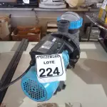 LOTE 224 - 01 BOMBA D’ÁGUA P/PISCINA. (NO ESTADO) ATENÇÃO! FAZER A VISITAÇÃO ANTES DE ARREMATAR, NÃO SABEMOS SE FUNCIONA. LEILÃO NÃO TEM GARANTIA E NEM DEVOLUÇÃO, SUJEITO A POSSÍVEIS AVARIAS VISÍVEIS/OCULTAS E/OU AUSÊNCIA DE COMPONENTES.