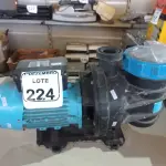 LOTE 224 - 01 BOMBA D’ÁGUA P/PISCINA. (NO ESTADO) ATENÇÃO! FAZER A VISITAÇÃO ANTES DE ARREMATAR, NÃO SABEMOS SE FUNCIONA. LEILÃO NÃO TEM GARANTIA E NEM DEVOLUÇÃO, SUJEITO A POSSÍVEIS AVARIAS VISÍVEIS/OCULTAS E/OU AUSÊNCIA DE COMPONENTES.