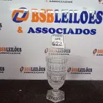 LOTE 028 - 01 VASO DE CRISTAL BOHEMIA. (NO ESTADO) ATENÇÃO! FAZER A VISITAÇÃO ANTES DE ARREMATAR, NÃO SABEMOS SE FUNCIONA. LEILÃO NÃO TEM GARANTIA E NEM DEVOLUÇÃO, SUJEITO A POSSÍVEIS AVARIAS VISÍVEIS/OCULTAS E/OU AUSÊNCIA DE COMPONENTES., NÃO SABEMOS SE FUNCIONA. LEILÃO NÃO TEM GARANTIA E NEM DEVOLUÇÃO, SUJEITO A POSSÍVEIS AVARIAS VISÍVEIS/OCULTAS E/OU AUSÊNCIA DE COMPONENTES.