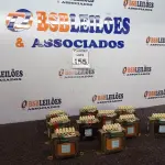 LOTE 155 - 10 TRANSFORMADORES 220V PARA 12V. (NO ESTADO) ATENÇÃO! FAZER A VISITAÇÃO ANTES DE ARREMATAR, NÃO SABEMOS SE FUNCIONA. LEILÃO NÃO TEM GARANTIA E NEM DEVOLUÇÃO, SUJEITO A POSSÍVEIS AVARIAS VISÍVEIS/OCULTAS E/OU AUSÊNCIA DE COMPONENTES.