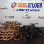 LOTE 213 - 08 CINTOS DE SEGURANÇA E 01 CAPA P/BANCO EM BOLINHAS. (NO ESTADO) ATENÇÃO! FAZER A VISITAÇÃO ANTES DE ARREMATAR, NÃO SABEMOS SE FUNCIONA. LEILÃO NÃO TEM GARANTIA E NEM DEVOLUÇÃO, SUJEITO A POSSÍVEIS AVARIAS VISÍVEIS/OCULTAS E/OU AUSÊNCIA DE COMPONENTES.