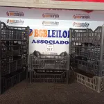 LOTE 317 - 10 CESTAS ORGANIZADORAS. (NO ESTADO) ATENÇÃO! FAZER A VISITAÇÃO ANTES DE ARREMATAR, NÃO SABEMOS SE FUNCIONA. LEILÃO NÃO TEM GARANTIA E NEM DEVOLUÇÃO, SUJEITO A POSSÍVEIS AVARIAS VISÍVEIS/OCULTAS E/OU AUSÊNCIA DE COMPONENTES.
