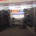LOTE 317 - 10 CESTAS ORGANIZADORAS. (NO ESTADO) ATENÇÃO! FAZER A VISITAÇÃO ANTES DE ARREMATAR, NÃO SABEMOS SE FUNCIONA. LEILÃO NÃO TEM GARANTIA E NEM DEVOLUÇÃO, SUJEITO A POSSÍVEIS AVARIAS VISÍVEIS/OCULTAS E/OU AUSÊNCIA DE COMPONENTES.