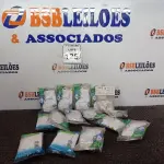 LOTE 125 - 14 INTERRUPTORES SIMPLES MARCAS DIVERSAS. (NO ESTADO) ATENÇÃO! FAZER A VISITAÇÃO ANTES DE ARREMATAR, NÃO SABEMOS SE FUNCIONA. LEILÃO NÃO TEM GARANTIA E NEM DEVOLUÇÃO, SUJEITO A POSSÍVEIS AVARIAS VISÍVEIS/OCULTAS E/OU AUSÊNCIA DE COMPONENTES.