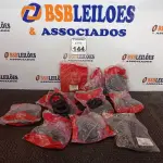 LOTE 144 - 07 PACOTES COM VÁRIOS ANÉIS DE VEDAÇÃO PARA ESGOTO E 04 PACOTES DE ADAPTADOR DE VEDAÇÃO PARA CAIXA D´´ÁGUA. (NOVO) (NO ESTADO) ATENÇÃO! FAZER A VISITAÇÃO ANTES DE ARREMATAR, NÃO SABEMOS SE FUNCIONA. LEILÃO NÃO TEM GARANTIA E NEM DEVOLUÇÃO, SUJEITO A POSSÍVEIS AVARIAS VISÍVEIS/OCULTAS E/OU AUSÊNCIA DE COMPONENTES.