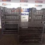 LOTE 393 - 10 CESTAS ORGANIZADORAS. (NO ESTADO) ATENÇÃO! FAZER A VISITAÇÃO ANTES DE ARREMATAR, NÃO SABEMOS SE FUNCIONA. LEILÃO NÃO TEM GARANTIA E NEM DEVOLUÇÃO, SUJEITO A POSSÍVEIS AVARIAS VISÍVEIS/OCULTAS E/OU AUSÊNCIA DE COMPONENTES.
