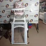 LOTE 337 - 01 CADEIRA DOBRÁVEL DE REFEIÇÃO INFANTIL MARCA GAZERANA E 02PORTÕES P/PETS. (NO ESTADO) ATENÇÃO! FAZER A VISITAÇÃO ANTES DE ARREMATAR, NÃO SABEMOS SE FUNCIONA. LEILÃO NÃO TEM GARANTIA E NEM DEVOLUÇÃO, SUJEITO A POSSÍVEIS AVARIAS VISÍVEIS/OCULTAS E/OU AUSÊNCIA DE COMPONENTES.
