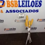 LOTE 044 - 06 CHAVES PHILIPS TAMANHOS DIVERSOS. (NO ESTADO) ATENÇÃO! FAZER A VISITAÇÃO ANTES DE ARREMATAR, NÃO SABEMOS SE FUNCIONA. LEILÃO NÃO TEM GARANTIA E NEM DEVOLUÇÃO, SUJEITO A POSSÍVEIS AVARIAS VISÍVEIS/OCULTAS E/OU AUSÊNCIA DE COMPONENTES.