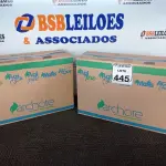 LOTE 445 - 02 CAIXAS DE ÁGUA SANITÁRIA C/03 UNIDADES EM CADA CAIXA 5L EM CADA GALÃO. (NO ESTADO) ATENÇÃO! FAZER A VISITAÇÃO ANTES DE ARREMATAR, NÃO SABEMOS SE FUNCIONA. LEILÃO NÃO TEM GARANTIA E NEM DEVOLUÇÃO, SUJEITO A POSSÍVEIS AVARIAS VISÍVEIS/OCULTAS E/OU AUSÊNCIA DE COMPONENTES.
