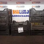 LOTE 433 - 10 CESTAS ORGANIZADORAS. (NO ESTADO) ATENÇÃO! FAZER A VISITAÇÃO ANTES DE ARREMATAR, NÃO SABEMOS SE FUNCIONA. LEILÃO NÃO TEM GARANTIA E NEM DEVOLUÇÃO, SUJEITO A POSSÍVEIS AVARIAS VISÍVEIS/OCULTAS E/OU AUSÊNCIA DE COMPONENTES.