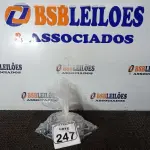 LOTE 247 - 01 SACO COM PARAFUSOS CABEÇA LISA COM PORCAS. (NO ESTADO) ATENÇÃO! FAZER A VISITAÇÃO ANTES DE ARREMATAR, NÃO SABEMOS SE FUNCIONA. LEILÃO NÃO TEM GARANTIA E NEM DEVOLUÇÃO, SUJEITO A POSSÍVEIS AVARIAS VISÍVEIS/OCULTAS E/OU AUSÊNCIA DE COMPONENTES.
