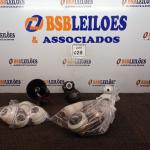 LOTE 028 - 01 LOTE COM CÂMERAS DE SEGURANÇA MARCAS E MODELOS DIVERSOS E 01 SIRENE CORNETA. (NO ESTADO) ATENÇÃO! FAZER A VISITAÇÃO ANTES DE ARREMATAR, NÃO SABEMOS SE FUNCIONA. LEILÃO NÃO TEM GARANTIA E NEM DEVOLUÇÃO, SUJEITO A POSSÍVEIS AVARIAS VISÍVEIS/OCULTAS E/OU AUSÊNCIA DE COMPONENTES.