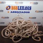 LOTE 143 - 01 LOTE COM CORDAS PARA RAPEL. (NO ESTADO) ATENÇÃO! FAZER A VISITAÇÃO ANTES DE ARREMATAR, NÃO SABEMOS SE FUNCIONA. LEILÃO NÃO TEM GARANTIA E NEM DEVOLUÇÃO, SUJEITO A POSSÍVEIS AVARIAS VISÍVEIS/OCULTAS E/OU AUSÊNCIA DE COMPONENTES.