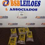 LOTE 190 - 06 KG DE PREGOS MARCA GERDAL BITOLA 15X15. (NOVO) (NO ESTADO) ATENÇÃO! FAZER A VISITAÇÃO ANTES DE ARREMATAR, NÃO SABEMOS SE FUNCIONA. LEILÃO NÃO TEM GARANTIA E NEM DEVOLUÇÃO, SUJEITO A POSSÍVEIS AVARIAS VISÍVEIS/OCULTAS E/OU AUSÊNCIA DE COMPONENTES.