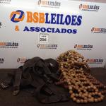 LOTE 206 -  01 ACENTO DE BOLINHA EM MADEIRA PARA CARRO E VÁRIOS CINTOS DE SEGURANÇA PARA CARRO. (NO ESTADO) ATENÇÃO! FAZER A VISITAÇÃO ANTES DE ARREMATAR, NÃO SABEMOS SE FUNCIONA. LEILÃO NÃO TEM GARANTIA E NEM DEVOLUÇÃO, SUJEITO A POSSÍVEIS AVARIAS VISÍVEIS/OCULTAS E/OU AUSÊNCIA DE COMPONENTES.