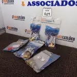 LOTE 021 - 03 REGISTROS GAVETA 3 /4’’, 01 BASE REGISTRO DE GAVETA 3/4’’ E 01 REGISTRO DE PRESSÃO DOCOLBASE 3/4. (NOVO) (NO ESTADO) ATENÇÃO! FAZER A VISITAÇÃO ANTES DE ARREMATAR, NÃO SABEMOS SE FUNCIONA. LEILÃO NÃO TEM GARANTIA E NEM DEVOLUÇÃO, SUJEITO A POSSÍVEIS AVARIAS VISÍVEIS/OCULTAS E/OU AUSÊNCIA DE COMPONENTES.