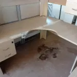 LOTE 455 - 01 MESA DE CANTO COM 02 GAVETAS EM MADEIRA PARA ESCRITÓRIO. (NO ESTADO) ATENÇÃO! FAZER A VISITAÇÃO ANTES DE ARREMATAR, NÃO SABEMOS SE FUNCIONA. LEILÃO NÃO TEM GARANTIA E NEM DEVOLUÇÃO, SUJEITO A POSSÍVEIS AVARIAS VISÍVEIS/OCULTAS E/OU AUSÊNCIA DE COMPONENTES.